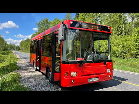 Видео: ПАЗ 8 июня 2022 г.