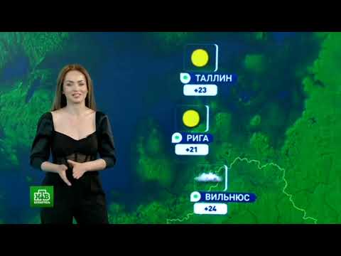 Видео: Погода (НТВ-Беларусь, 24.06.2024, VK Видео)