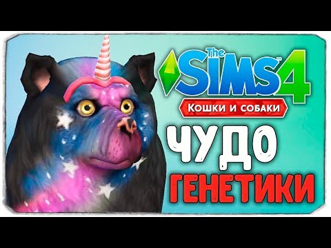 Видео: ЧУДО ГЕНЕТИКИ, УГАРНЫЕ СОБАКЕНЫ - The Sims 4 "Кошки и Собаки"