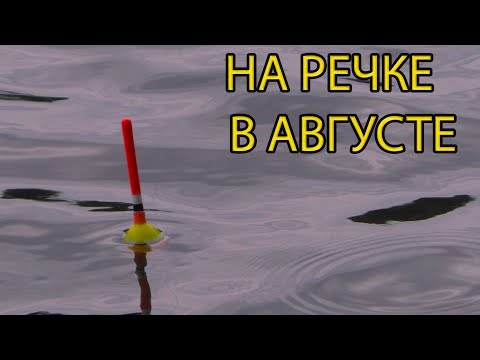 Видео: Рыбалка на речке в августе 2022