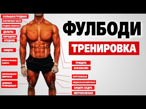 Видео: Лучшая ФУЛБОДИ программа тренировок для НАБОРА МАССЫ (тренировка «А»)