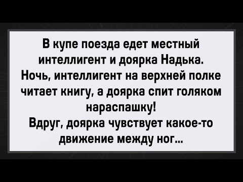 Видео: Интеллигент Не Сдержался! Сборник Анекдотов! Юмор!