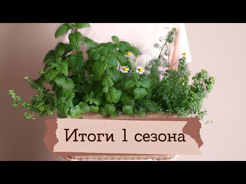 Видео: Мои растения и балкон | Masherisha
