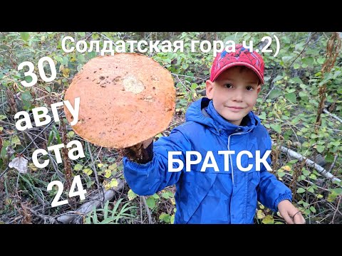 Видео: Грибы 2024 Новый слой, сезон продолжается! Солдатская гора часть вторая)