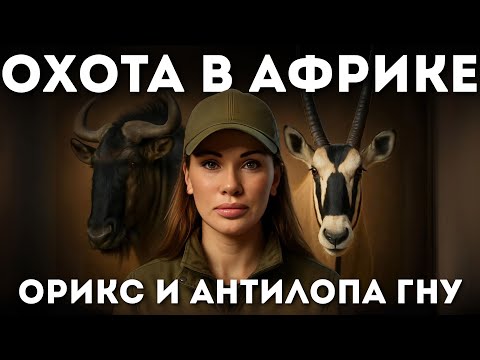 Видео: Невероятные приключения Матильды в Африке | 🦌 Орикс есть, гну — в бегах!