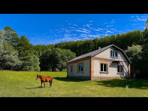 Видео: БУДИНОК 93 м² біля ЛІСУ 🏡 33 сотки 🔥29 999$🔥15 хв до Вінниці 🚗 7 хв Літин📍Сертифікати✅280-постанова✅