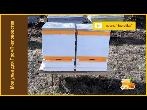 Видео: Выпуск №15. Мои ульи для промышленного пчеловодства