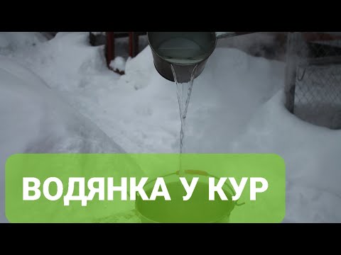 Видео: ВОДЯНКА  У БРОЙЛЕРОВ ПРОФИЛАКТИКА.