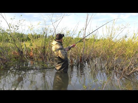 Видео: РЫБАЛКА НА КАРАСЯ ВЕСНОЙ НА БОКОВОЙ КИВОК!!! Приехал на вечерку и наловил хороших КАРАСЕЙ!!!