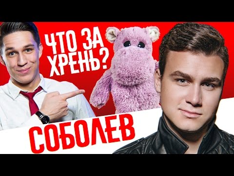 Видео: НИКОЛАЙ СОБОЛЕВ против Розового Бегемота - Зачем нужны эти предметы?!