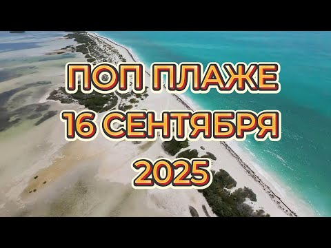 Видео: Поп Плаже — Вайбы и новости Ривьеры Майя | 16 сентября 2025