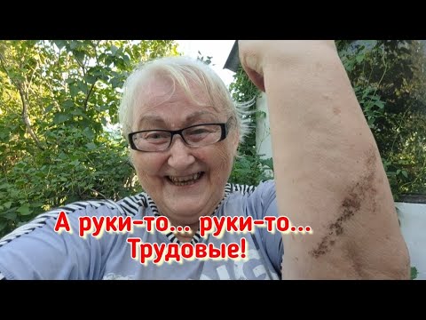 Видео: Мало ли чё мне в голову взбредёт...