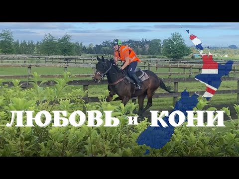 Видео: Любовь и кони. Быть наездницей в Новой Зеландии/На обратной стороне Земли