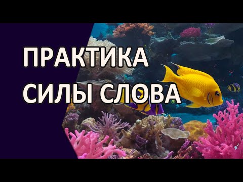 Видео: Как слова формируют судьбу: фразы, которые притягивают Удачу, Деньги и Спокойствие