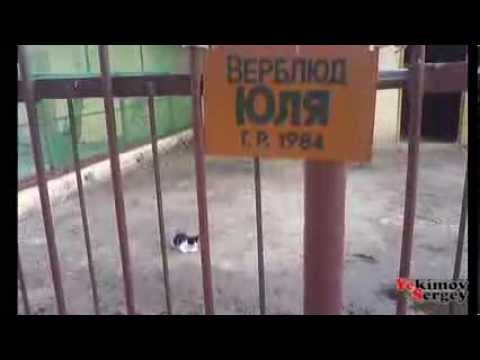 Видео: Угадай страну 3