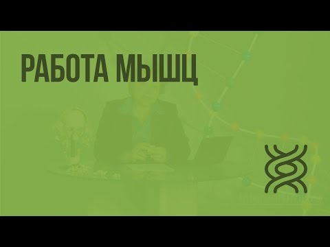 Видео: Работа мышц. Видеоурок по биологии 8 класс