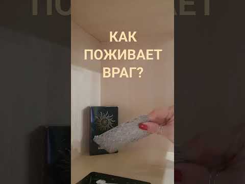 Видео: Как поживает враг?🥴🥴🥴