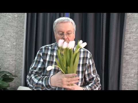 Видео: Длительное хранение тюльпанов. А.М. Быков