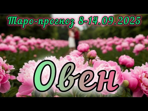 Видео: ОВЕН ♈️ ТАРО-ПРОГНОЗ НА НЕДЕЛЮ 8-14 СЕНТЯБРЯ 2О25 