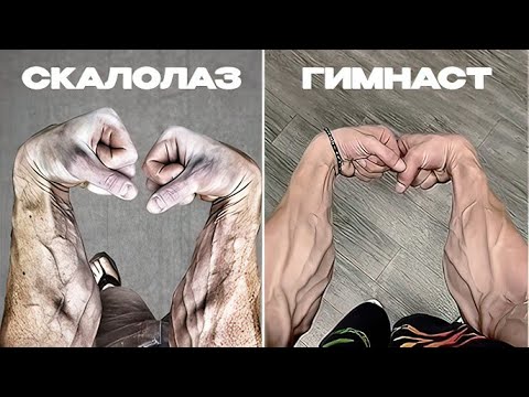 Видео: У кого самый сильный хват? Ты удивишься!