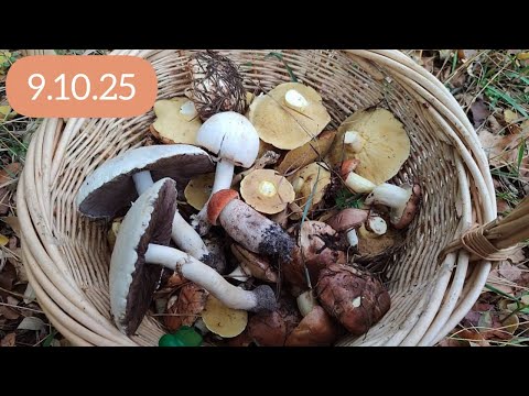 Видео: 9.10.25г. Маслюки пішли) Павлоград