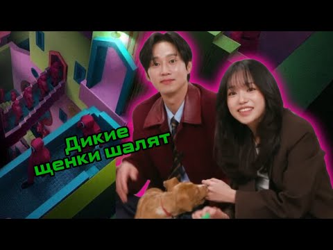 Видео: Интервью с кастом Игры в кальмара с щенками на русском