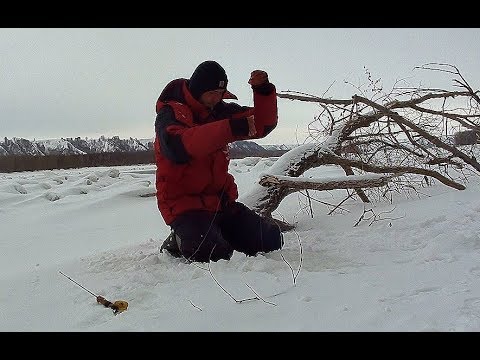 Видео: ЭТО КРОКОДИЛ!!! ТОЛЬКО НЕ ОТОРВИ МОНСТР!!!! Трофейная рыбалка по первому льду! ШОК!