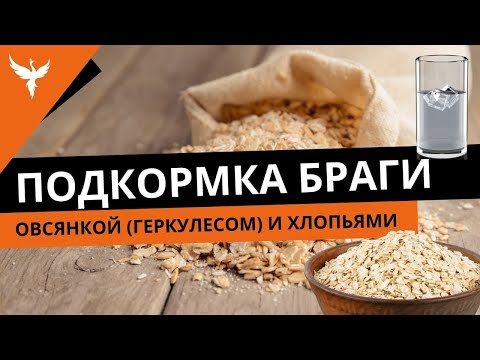 Видео: Подкормка браги овсянкой (геркулесом) и хлопьями