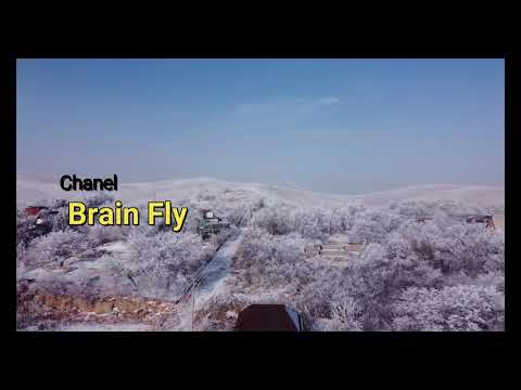 Видео: Турарские дачи Алматинская область