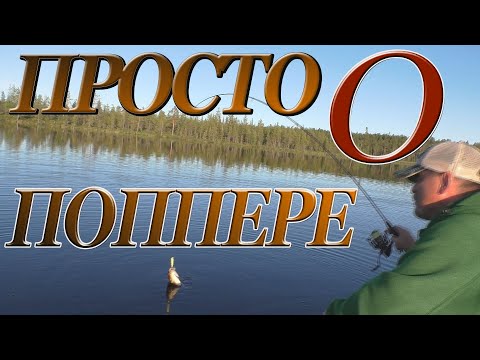 Видео: ПРОСТО О ПОППЕРЕ...