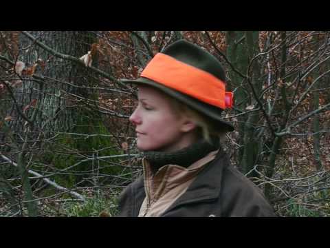 Видео: Охотничьи истории. Сезон 2. Охота в Венгрии (2 серия)
