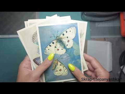 Видео: Скрап.Влог/8/25г. #покупкидляскрапбукинга #творчество #скрапбукинг 