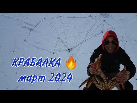 Видео: Крабалка март 2024