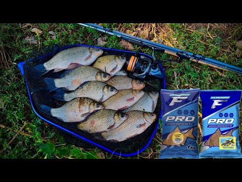 Видео: РИБАЛКА НА КАРАСЯ|Flagman Legend Feeder
