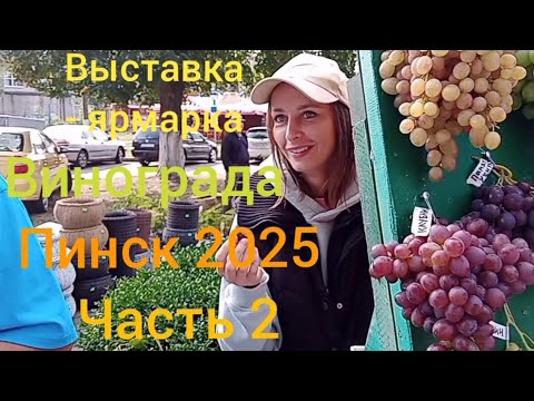 Видео: Выставка- ярмарка винограда Пинск 2025 Часть 2
