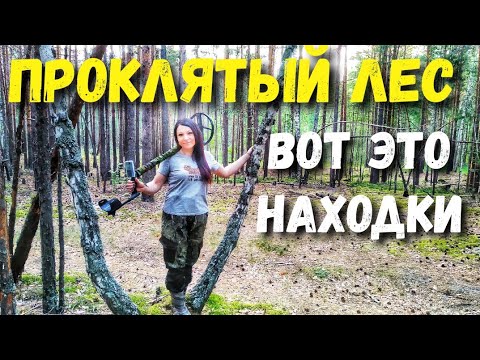 Видео: Проклятый лес и неожиданные  находки, обнаружила под землей. Поиск монет с металлоискателем в лесу.