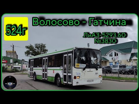 Видео: ЛО, автобус №524г от г. Волосово до г. Гатчина | ЛиАЗ-5293.60 №3830