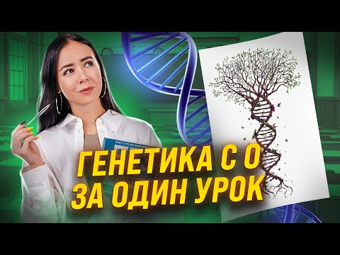 Видео: Генетика с нуля | Биология ЕГЭ