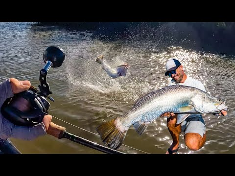Видео: ОГРОМНЫЕ солёные рыбки на моей новой приманке XOS. Крупная баррамунди!