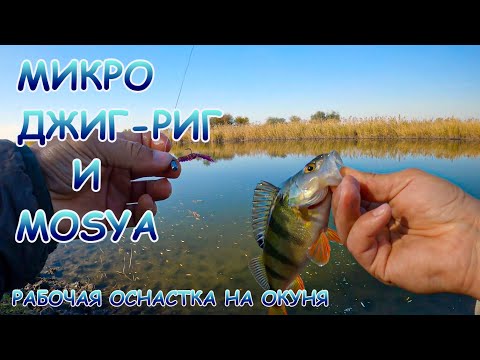 Видео: Ловля окуня с берега на микро джиг-риг(jig rig). Уловистая оснастка  на ОКУНЯ!!!