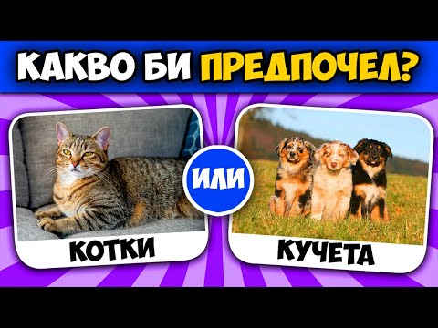 Видео: Какво Бихте Предпочели? 😲 НАЙ-ДОБРИТЕ ВЪПРОСИ!