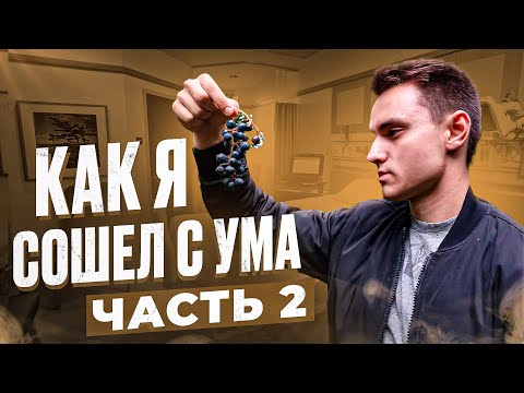 Видео: КАК Я СОШЕЛ С УМА ? ЭПИЗОД 2 
