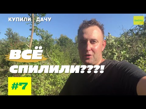 Видео: ВСЕ СПИЛИЛИ?! НА ЗАБРОШЕННОЙ ДАЧИ СПИЛИВАЕМ ДЕРЕВЬЯ, НАЧИНАЕМ ОЧИСТКУ УЧАСТКА. ВЛОГ №7