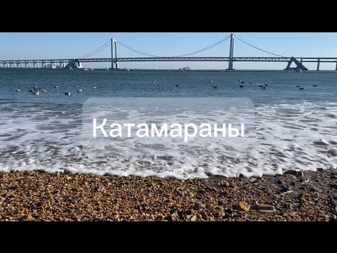 Видео: Катаюсь на катамаране