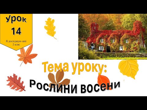 Видео: Рослини восени. Я досліджую світ 2 клас.