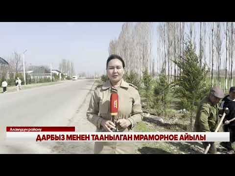 Видео: ДАРБЫЗЫ МЕНЕН ТААНЫЛГАН МРАМОРНОЕ АЙЫЛЫ