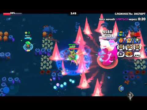 Видео: Бос френк експерт