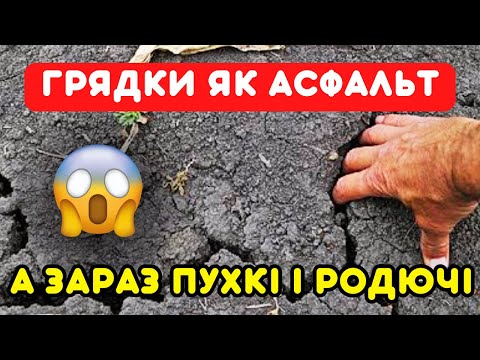 Видео: 3 натуральні способи ПЕРЕМОГТИ ТВЕРДУ ЗЕМЛЮ за один сезон. Як впоратися з твердою землею на городі.