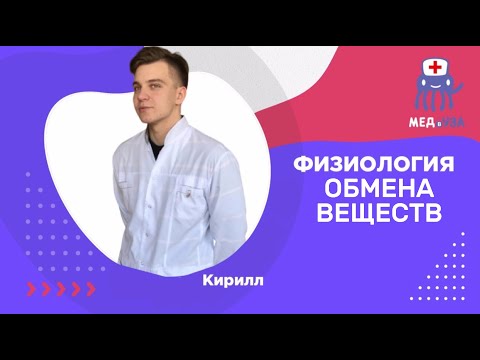 Видео: Физиология обмена веществ и энергии. Терморегуляция