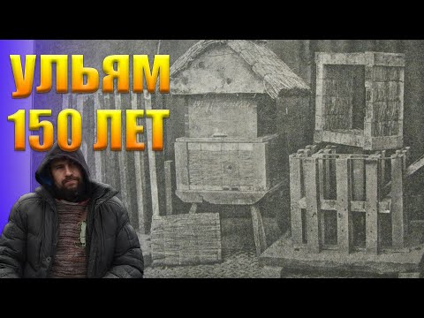 Видео: 150 лет назад уже были улья из соломы и камыша для содержания пчел. Пасеки из соломы и камыша